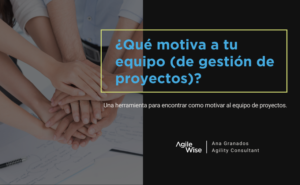 moving-motivator Agile Wise